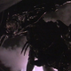Illustration for article titled Will Ridley Scott Direct the Alien Prequel?